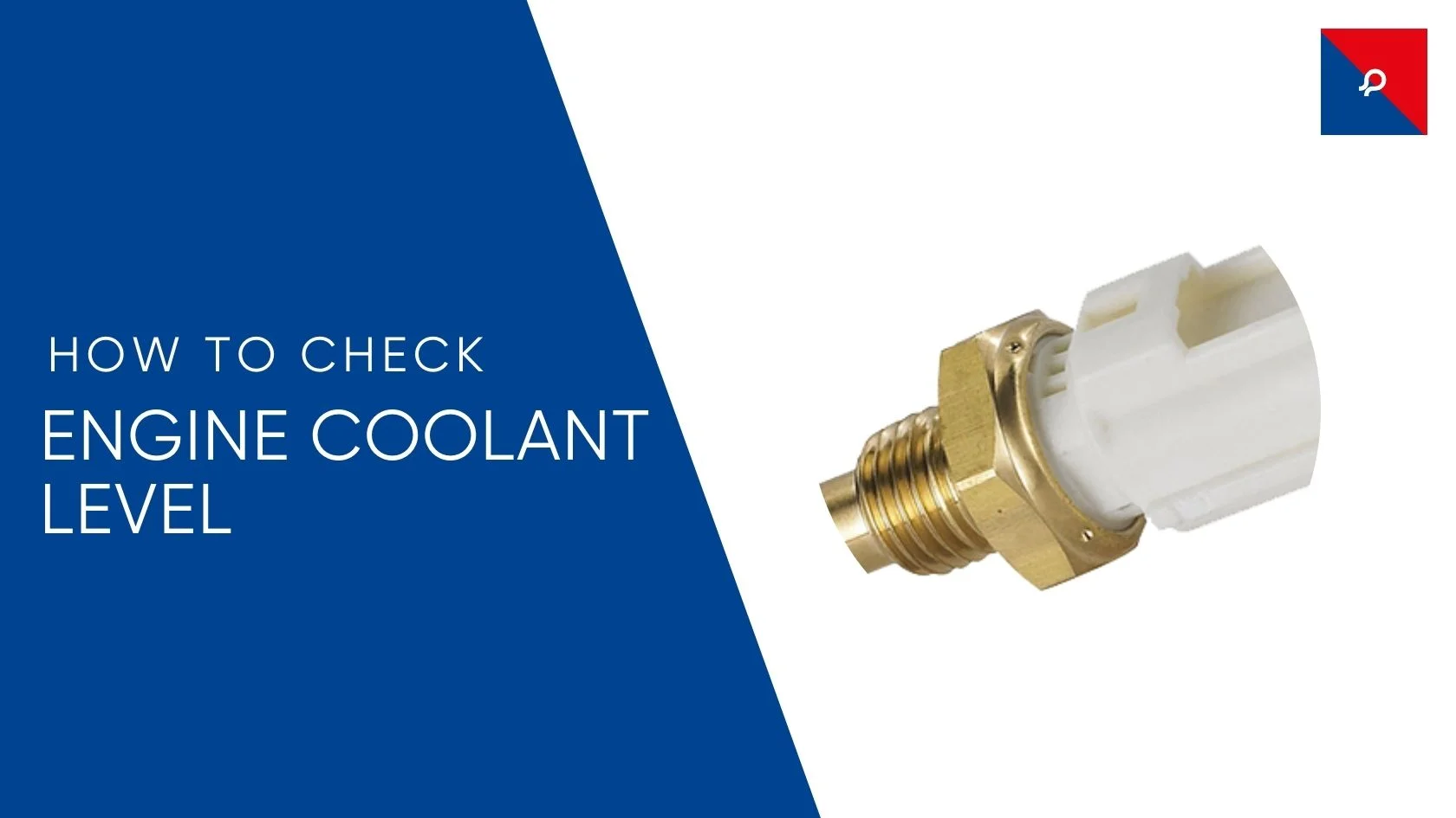 How to Check Engine Coolant Level in Your Car